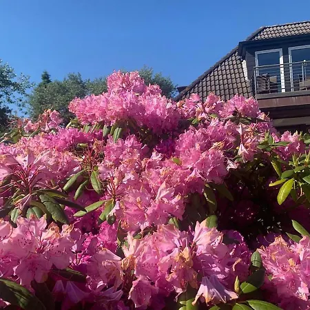 Ferienwohnung 3- Düna Wangerooge
